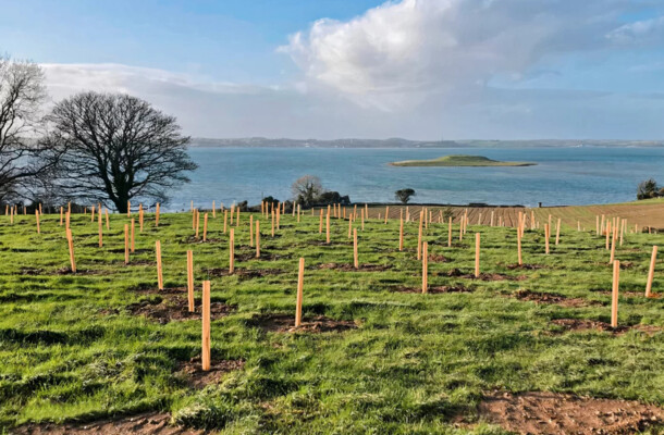 Tubex Nature auf Feld vor Meer