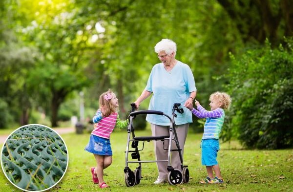 Barrierefreiheit dargestellt mit Rollatorfahrerin samt kleiner Kinder