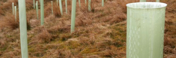 viele TUBEX Combitube Plus Wuchshüllen auf einem Feld