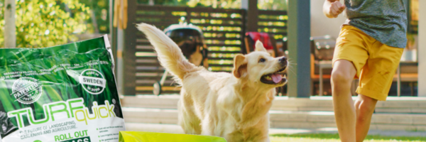 TURFquick Rasensaatvlies vor grünem Garten mit spielendem Kind und Hund im Hintergrund