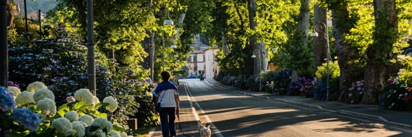 Beidseitig begrünte Straße mit Gehwegen