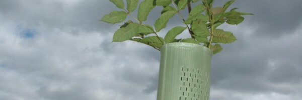 TUBEX Combitube Plus