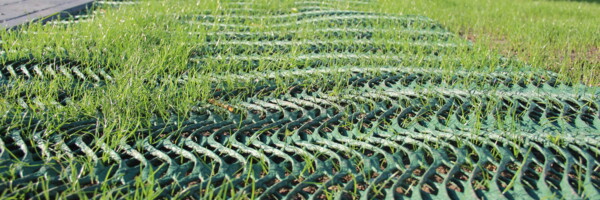 Nahaufnahme GrassProtecta Einwachsphase