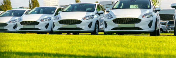 AdobeStock_222486813