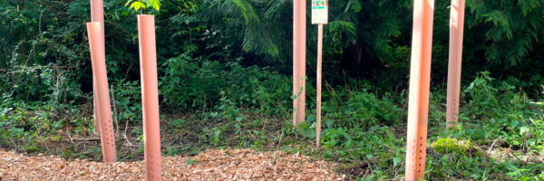 Eine Gruppe von TUBEX Einzelschutz: Zu sehen sind die Belüftigungslöcher