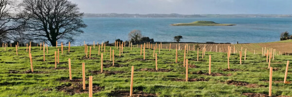 Tubex Nature auf Feld vor Meer