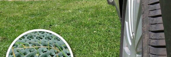 GrassProtecta auf Rasenparkplatz