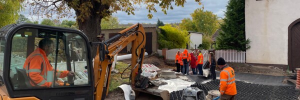 Baustelle mit Geozellen und Kastanienbaum, der geschützt wird
