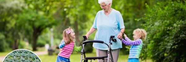 Barrierefreiheit dargestellt mit Rollatorfahrerin samt kleiner Kinder