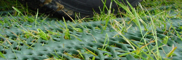 Nahaufnahme Auto auf GrassProtecta