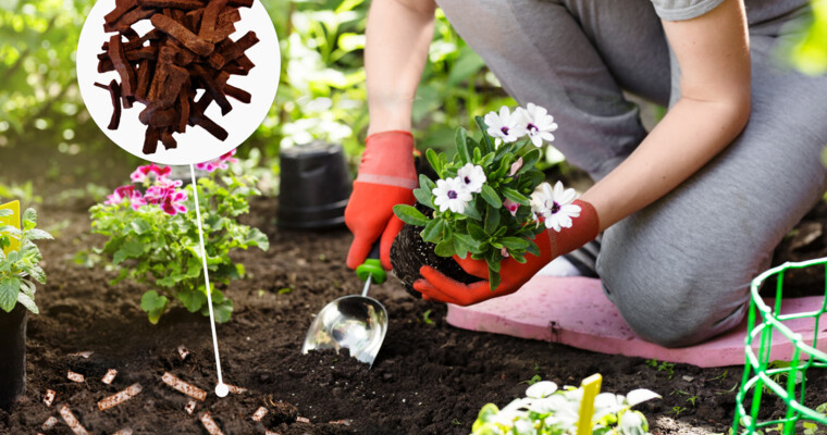 Terrasponge Bewässerungsvliesstreifen sind unter Erde im Blumenbeet gemischt