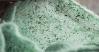 TURFquick Rasenvlies Nahaufnahme vom Vlies Material aus Zellulose mit eingenähten Rasensamen