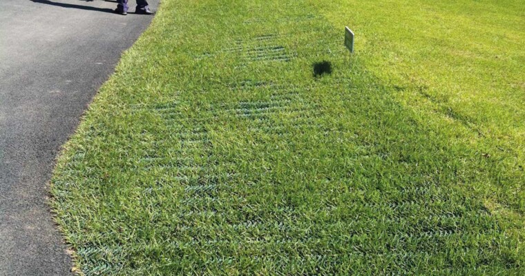 Golfplatz mit Rasenschutzgitter GrassProtecta an der Fahrbahn