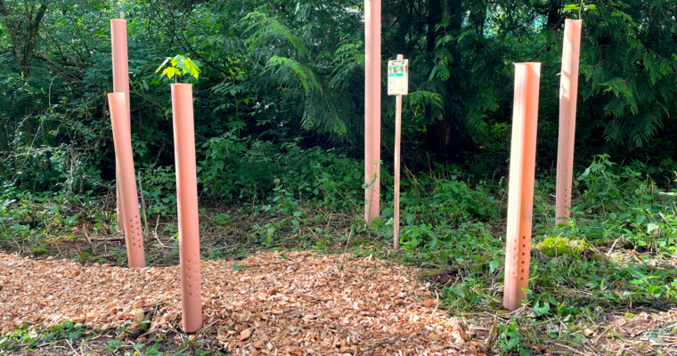 Eine Gruppe von TUBEX Einzelschutz: Zu sehen sind die Belüftigungslöcher