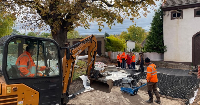 Baustelle mit Geozellen und Kastanienbaum, der geschützt wird