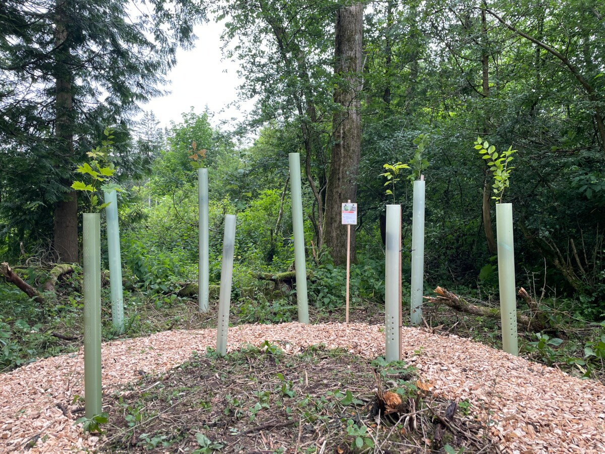 Tubex Ventex auf KWF Tagung