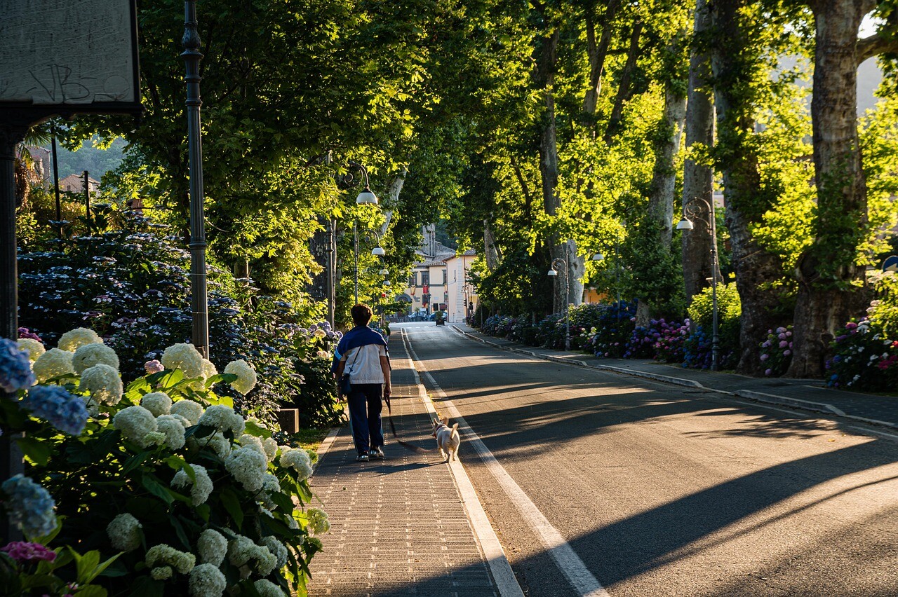 street-7281553_1280
