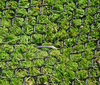 TERRAM TurfProtecta Rasenschutzgitter auf Rasen befestigt mit Befestigungspin in U-form