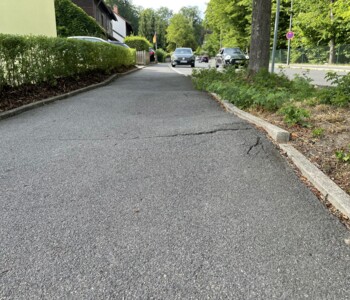 Baumwurzeln heben Gehweg an