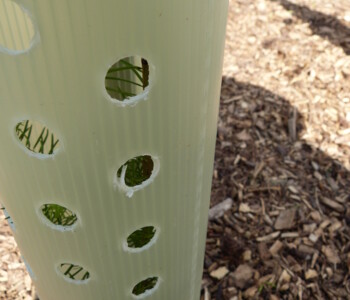 Ventex Ventilationssystem Nahaufnahme