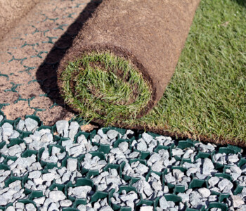 Rollrasen auf BodPave