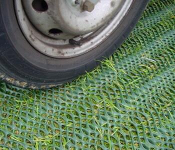 Nahaufnahme Auto auf GrassProtecta