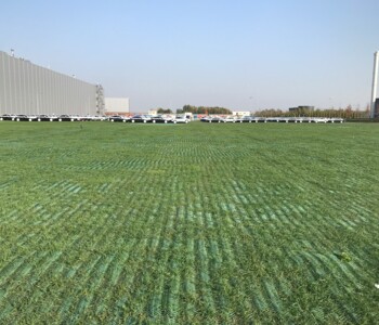 große Fläche, die mit GrassProtecta befestigt ist