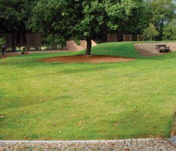 Park mit schönem Rasen und Baum im Hintergrund, TurfProtecta schützt den Rasen dabei