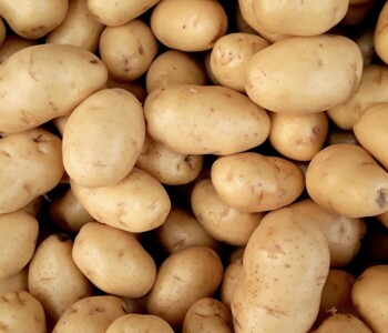 Kartoffelstärke in der Tubex Nature Wuchshülle