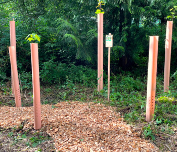 Eine Gruppe von TUBEX Einzelschutz: Zu sehen sind die Belüftigungslöcher