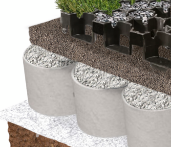 Grafische Darstellung Wurzelbrücke