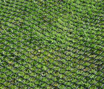 TERRAM TurfProtecta Rasenschutzgitter ausgelegt auf Rasen