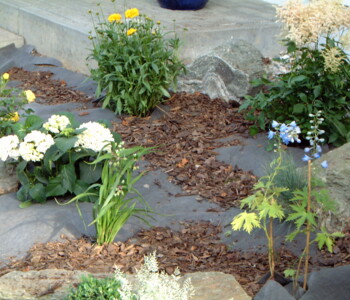 garten19