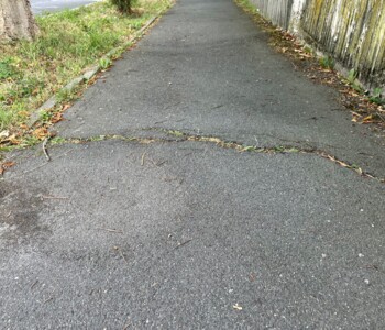 Riss im Asphalt