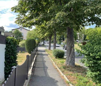 Vorherbild eines aufbrechenden Wegs