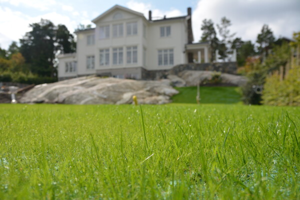 Nahaufnahme von Rasen vor Haus, durch TURFquick Rasenvlies gewachsen