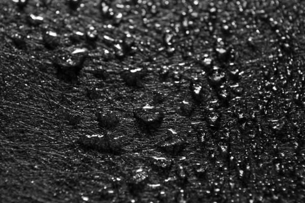 Nahaufnahme mit Wassertropfen