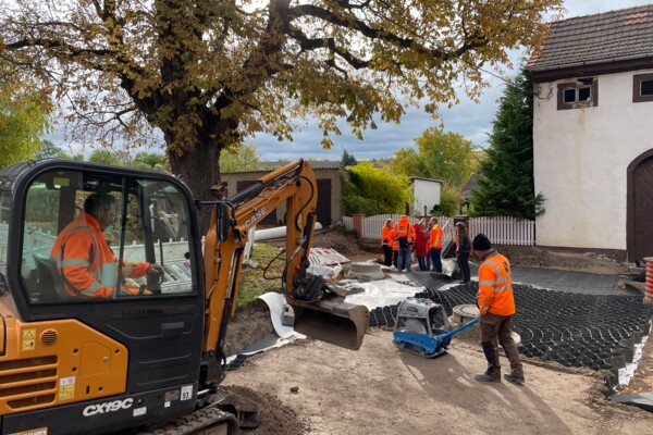 Baustelle mit Geozellen und Kastanienbaum, der geschützt wird