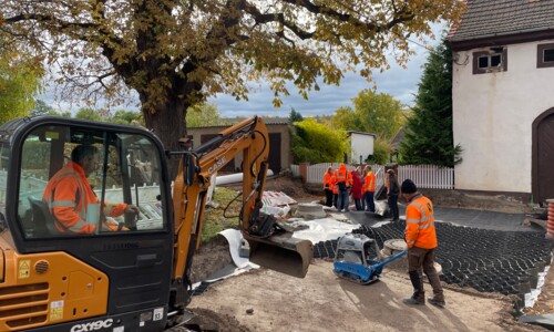 Baustelle mit Geozellen und Kastanienbaum, der geschützt wird